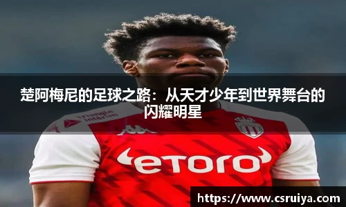 3377体育官网入口