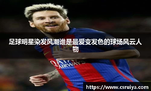 3377体育官网入口