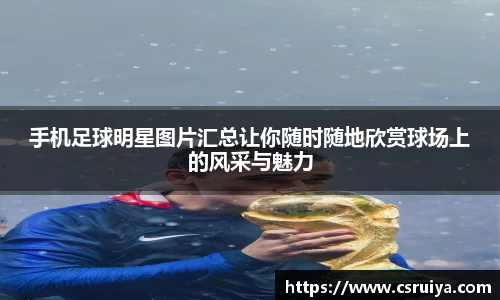 3377体育官网入口