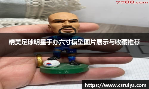 3377体育官网入口