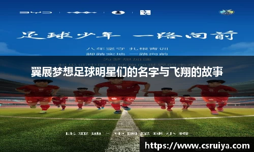 3377体育官网入口