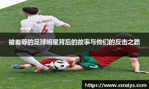 3377体育官网入口