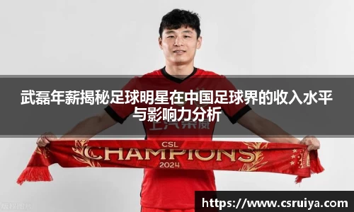 武磊年薪揭秘足球明星在中国足球界的收入水平与影响力分析